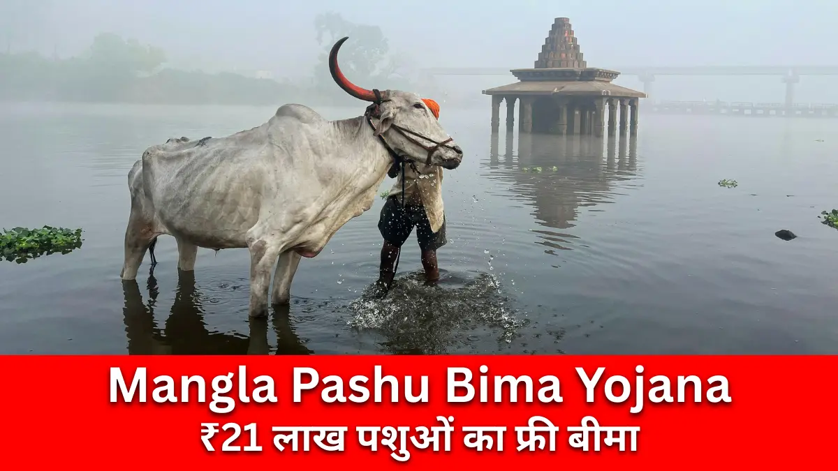Mangla Pashu Bima Yojana